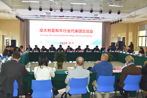 hjc黄金城冷链公司成功举办澳大利亚和牛项目招商推介会